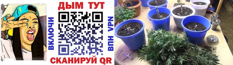Виды наркотиков купить Менделеевск Бутират  APVP  Гашиш  Меф мяу мяу  Каннабис  АМФЕТАМИН 