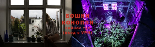 героин Богданович