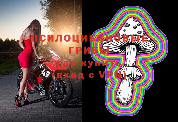 apvp Бугульма