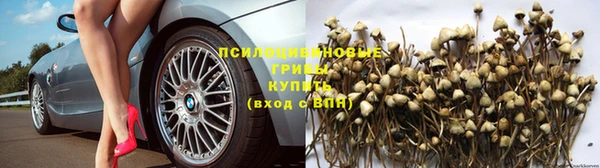героин Богданович