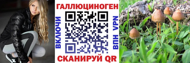 ссылка на мегу tor  Менделеевск  Псилоцибиновые грибы Psilocybine cubensis 